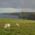 Dancanby Head