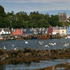 Mull island