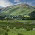 Inverlael