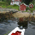 Balestrand