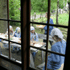 Norsk Folk Museum of Oslo