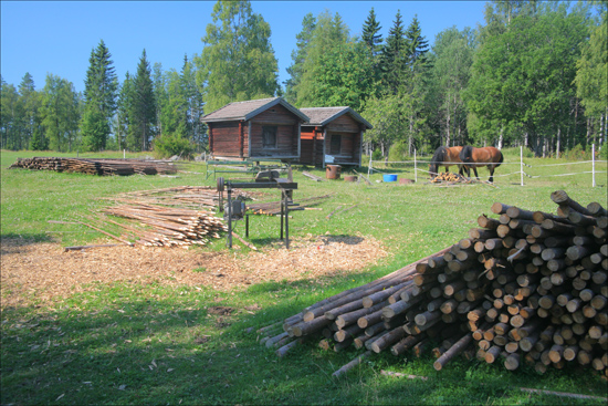 Ljusbodarna